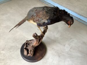 兵庫県姫路市で引き取り回収から処分までした不用品